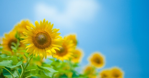 新年度のご挨拶